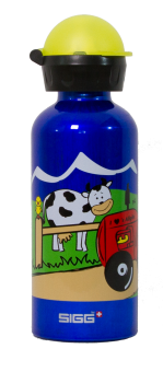 Sigg-Getränkeflasche 