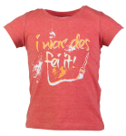 »i war des fei it 2016« | rot-meliert 140